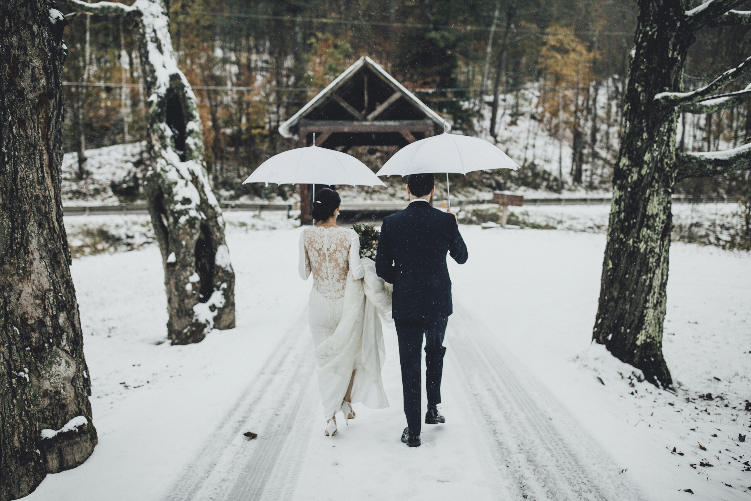 Elegant winter wedding 